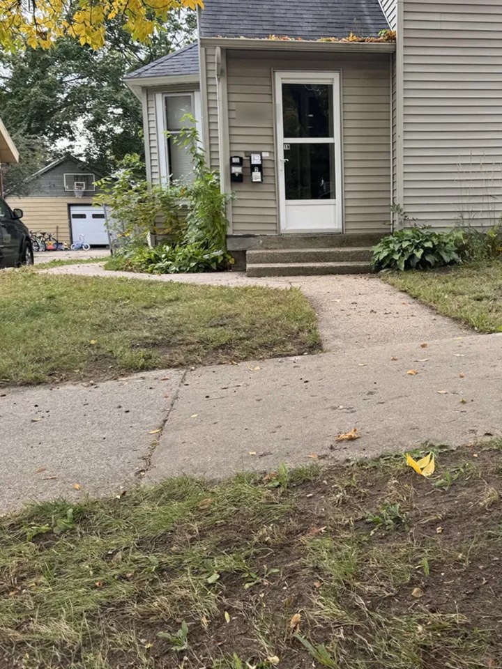 After: front walkway and lawn cleared of leaves