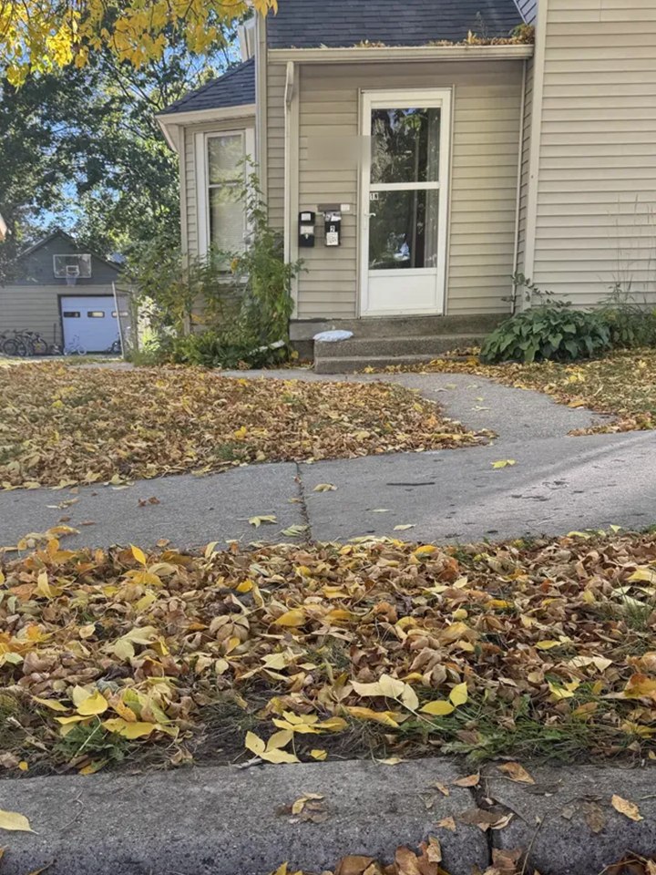 Before: front walkway and lawn covered in fallen leaves