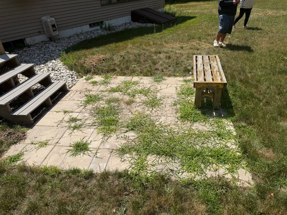 Before: paver patio overgrown with weeds