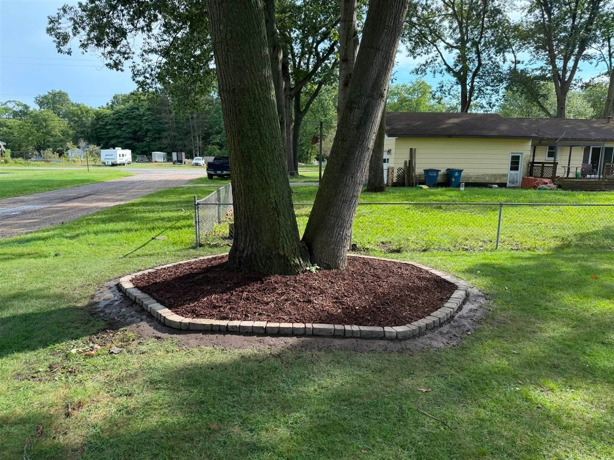 After: tree base with a clean border and fresh mulch